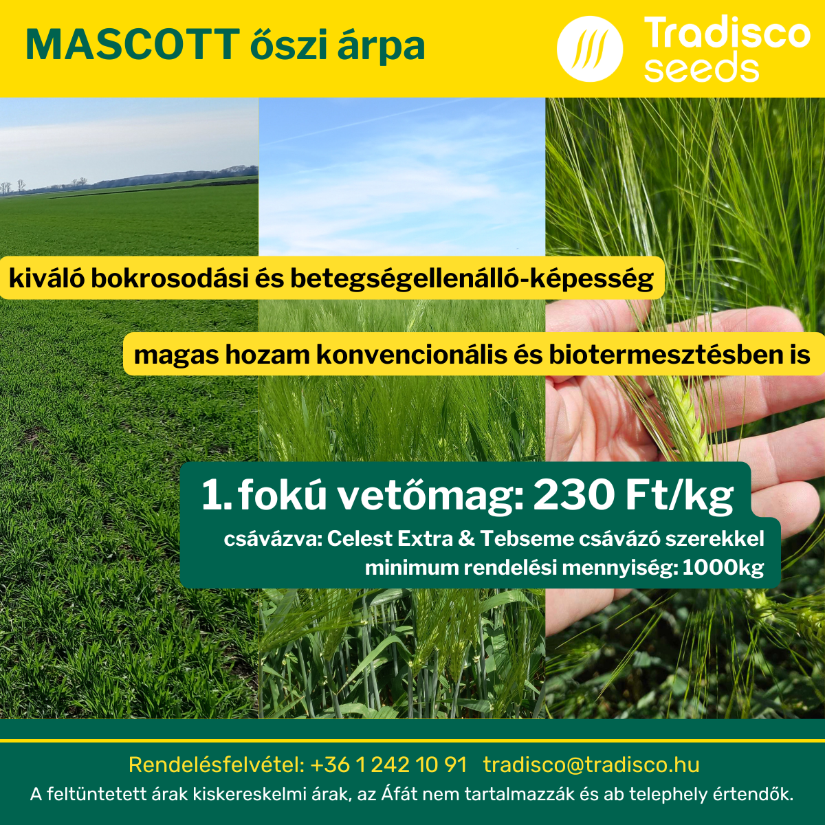 tradisco mascott árpa